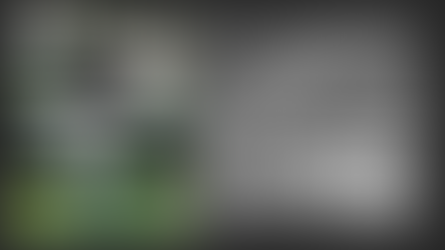 Cover Story Throwback: Mel Wise