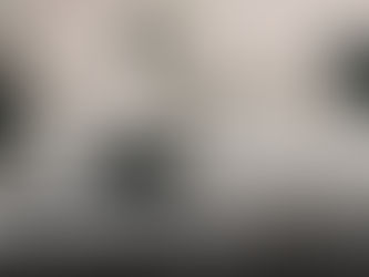 Public Problems: What are the Pitfalls of Demonstrating Your Martial Art?