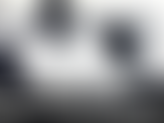 Black Belt Legacy: Double Good Trouble with Donnie Williams and Steve Muhammad