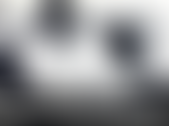 Black Belt Legacy: Double Good Trouble with Donnie Williams and Steve Muhammad