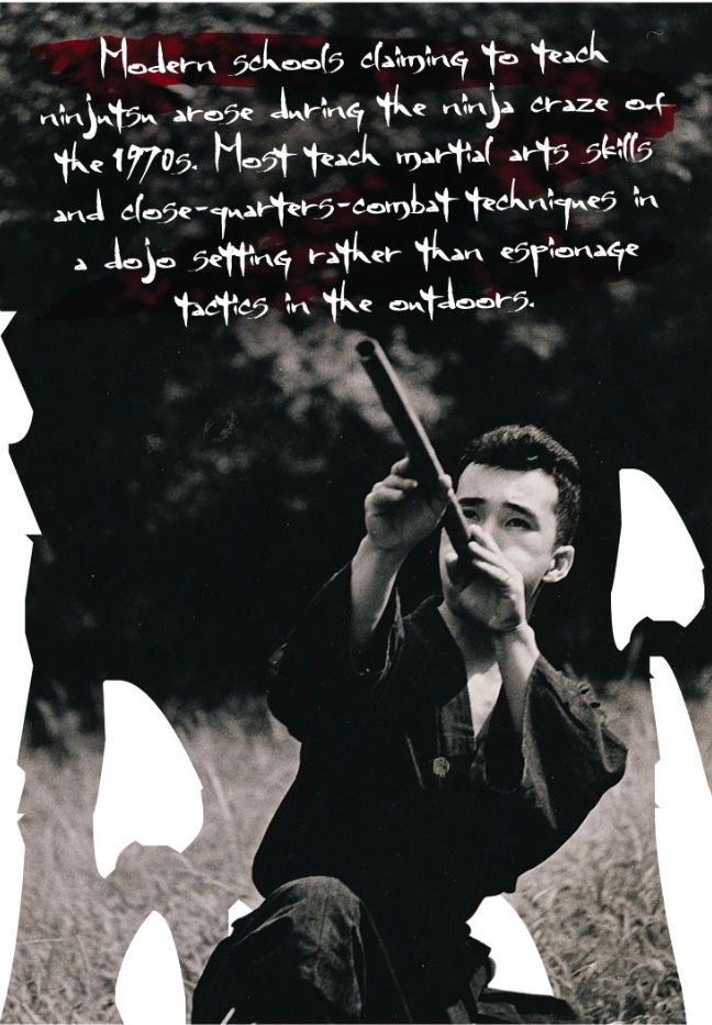 Most ninja schools nowadays teach combatives, not espionage tactics