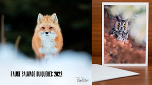 Sans titre-1 copie 2.jpg