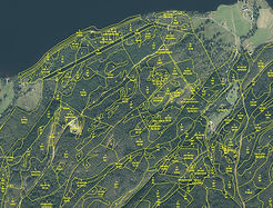 Forest_Subcompartments_Map.jpg