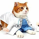 cat-doctor 2.jpeg