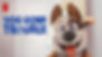 Dog Gone Trouble | Netflix Official Site