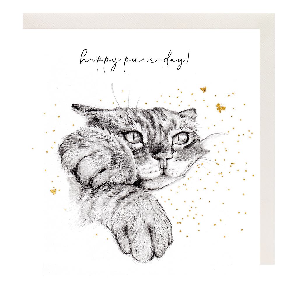 Thumbnail: Kitty