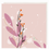 Thumbnail: Wispy pinks Happy Birthday