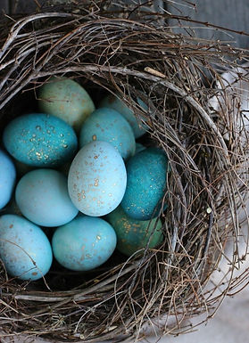 1 egg