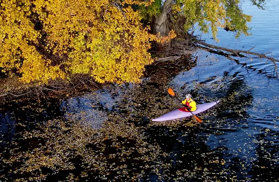 ANDRZEJ PIETOWSKI 3.webp