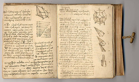 da Vinci 1
