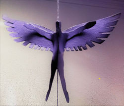 Projeto Ícaros de Papel