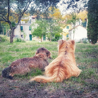 B & B DEL CUORE ♥️