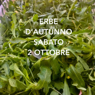 ERBE D'AUTUNNO