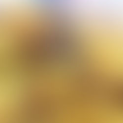 PAPPARDELLE DI MAIS AL SUGO DI PORRI E LUGANEGA