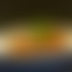 DELLA CAPONATINA ...
e DELLA PASTA 'NCASCIATA