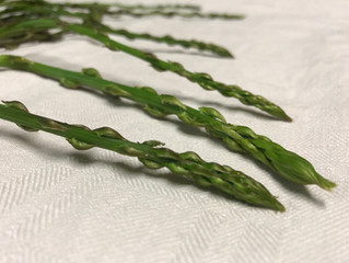ASPARAGI E NON ASPARAGI