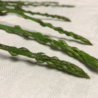 ASPARAGI E NON ASPARAGI