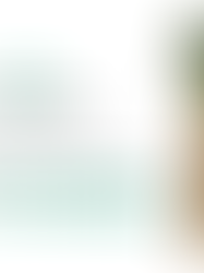 Digital Grocery Sales Hit $128B