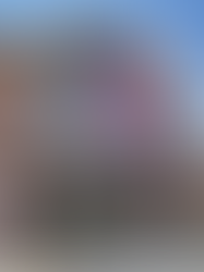 Big Y Getting Ready to Launch New-Concept Store in Massachusetts