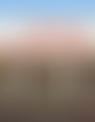 Stater Bros. Markets Promotes Greg McNiff to COO