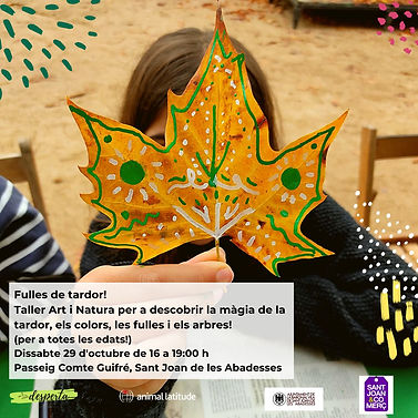 taller tardor22_stjoan_Desperta.jpeg