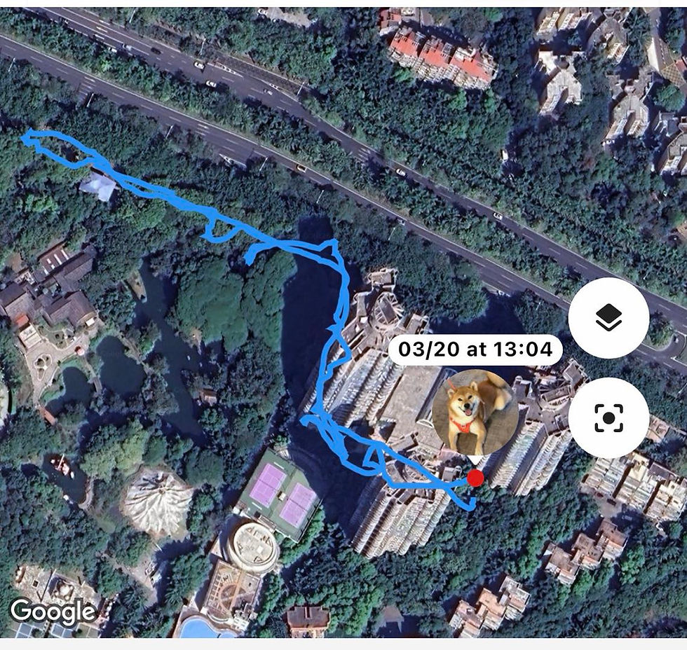 縮圖：SATELLAI Collar Go AI 智能 GPS 狗項圈
