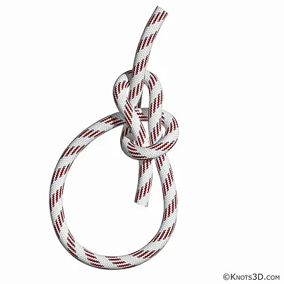 bowline-knot.webp