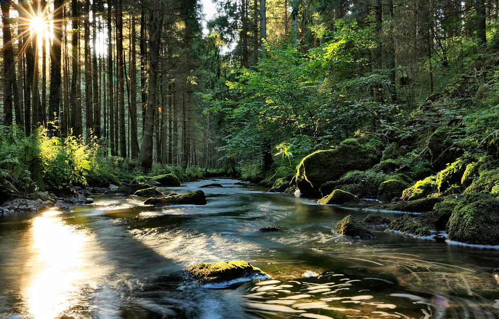 Natur 02.jpg