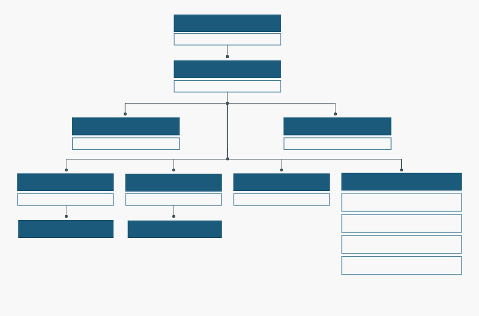 DRIYA Organizational structure (2).png