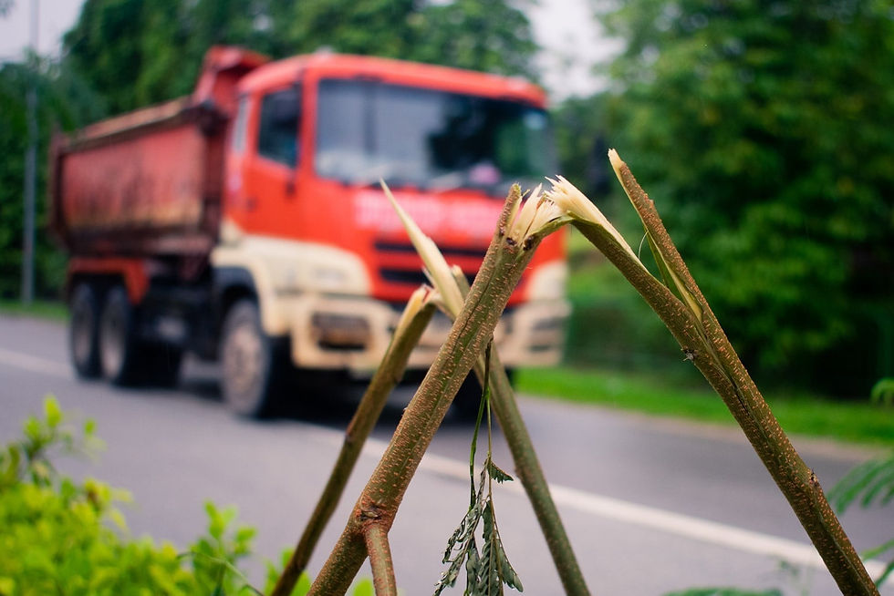Broken branches along Pasir Ris Farmway 2 with a construction vehicle in the background