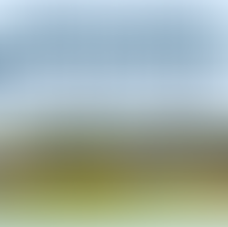 2024 End of Season Newsletter