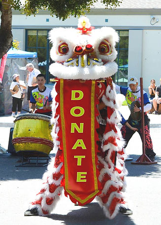 YMCA-Lion-Dance-Donate_edited_edited_edi