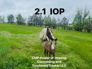 2.1. IOP. Intensive Outpatient Program. Outpatient Substance Use Disorder Facility.
