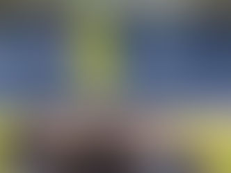 Female Sex Offenders