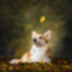 Autumn!!!
