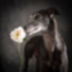 Smelling the roses!!
