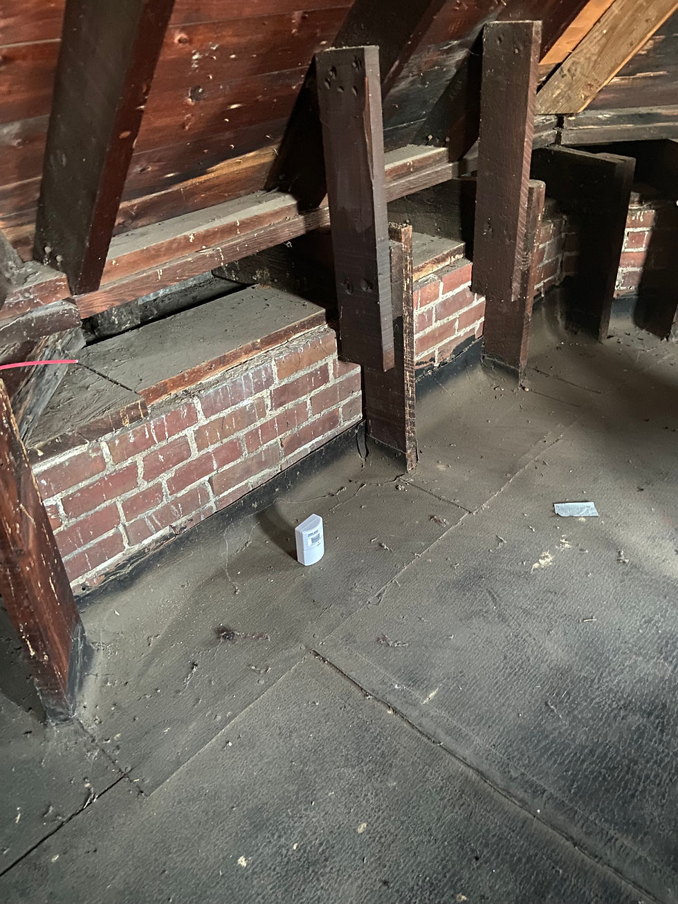 Motion Detector Placement