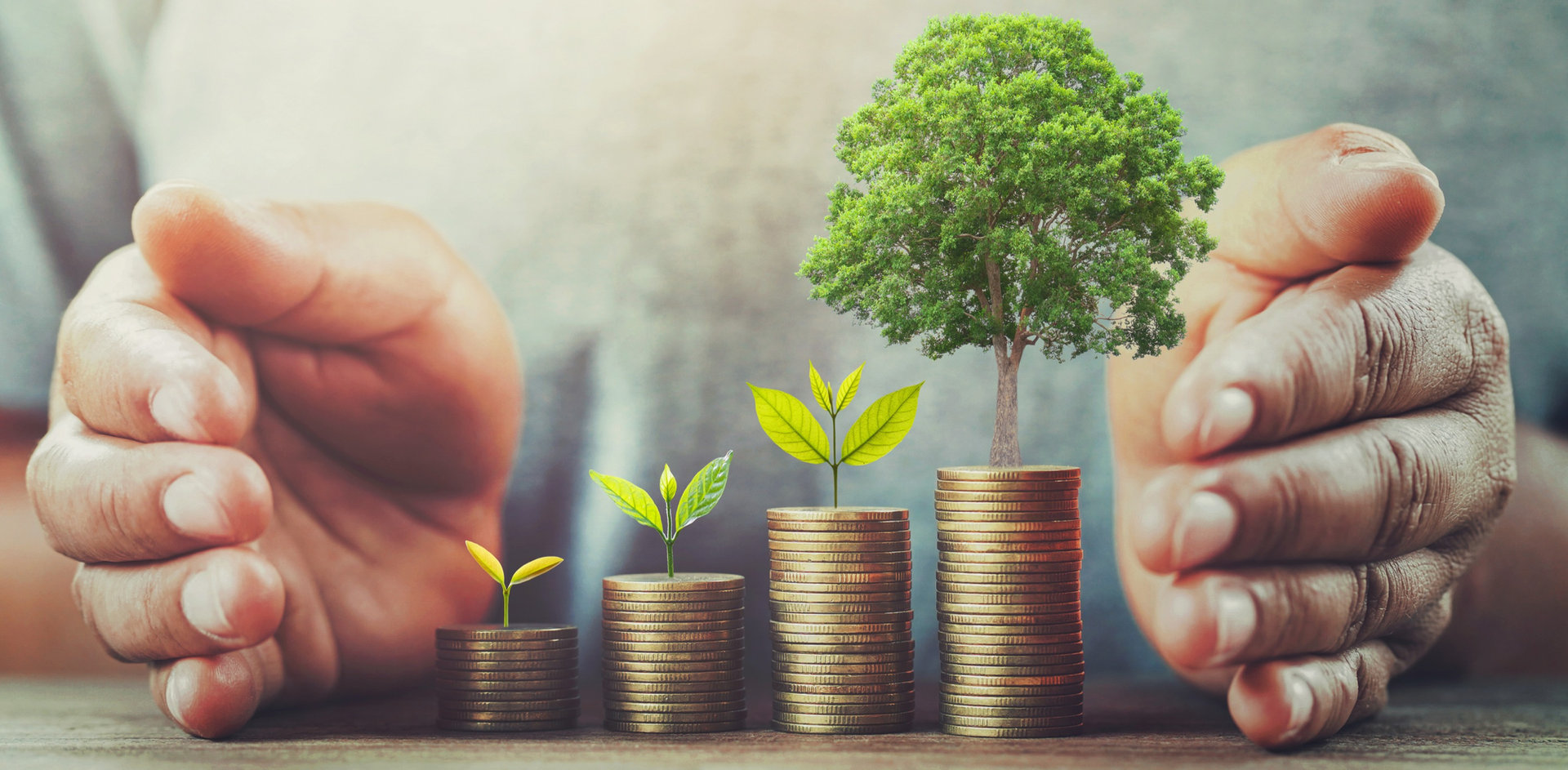 Financial planning and wellness