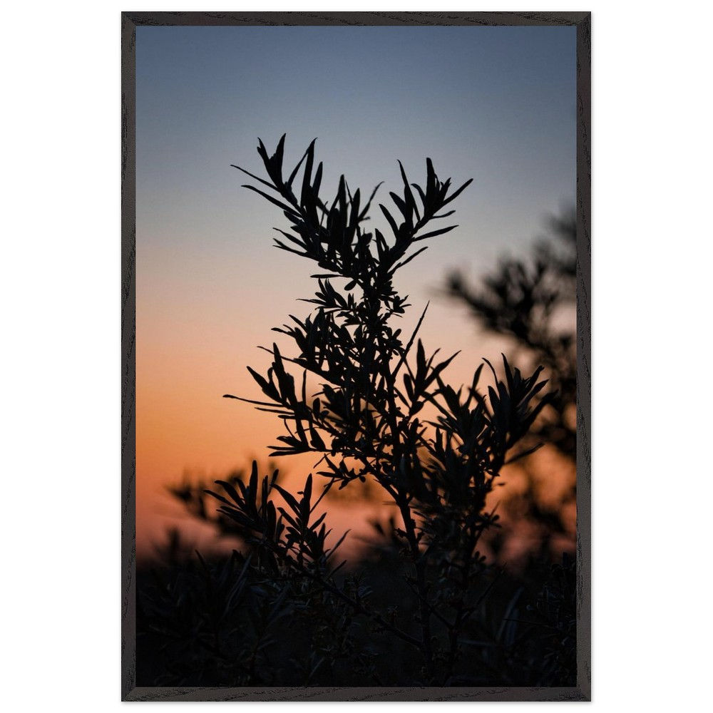 Ouddorp - Sonnenuntergang Wildkräuter Niederlande | Premium Holzrahmen Poster