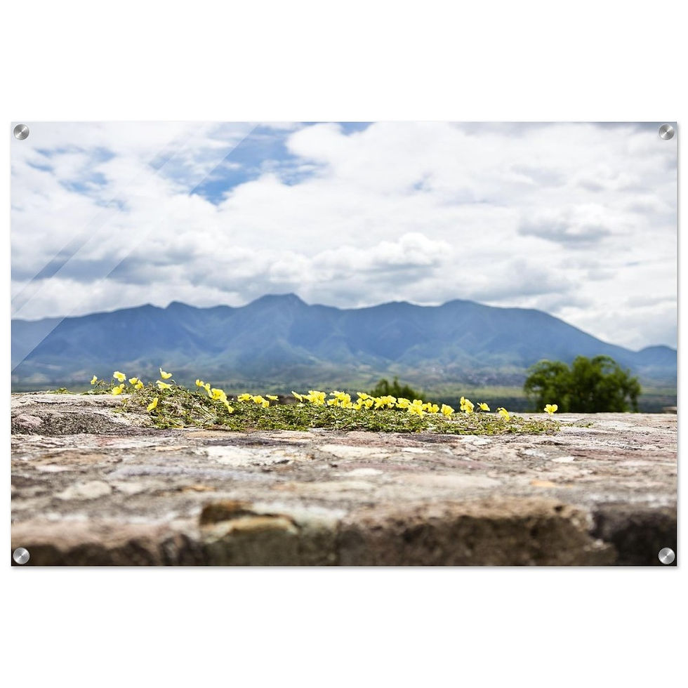 Yagul - Premium Acryl Print