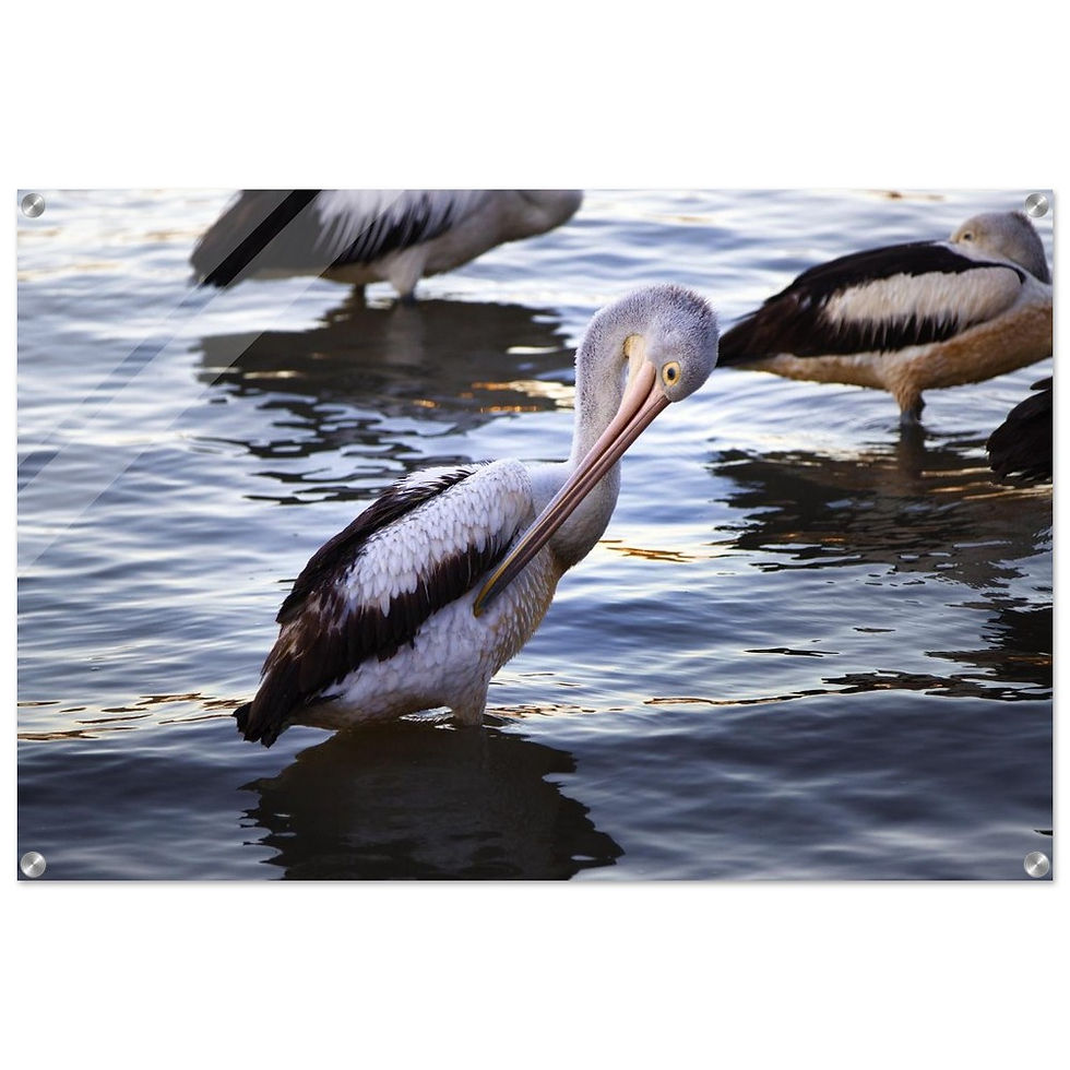 Füße im Watt - Premium Acryl Print