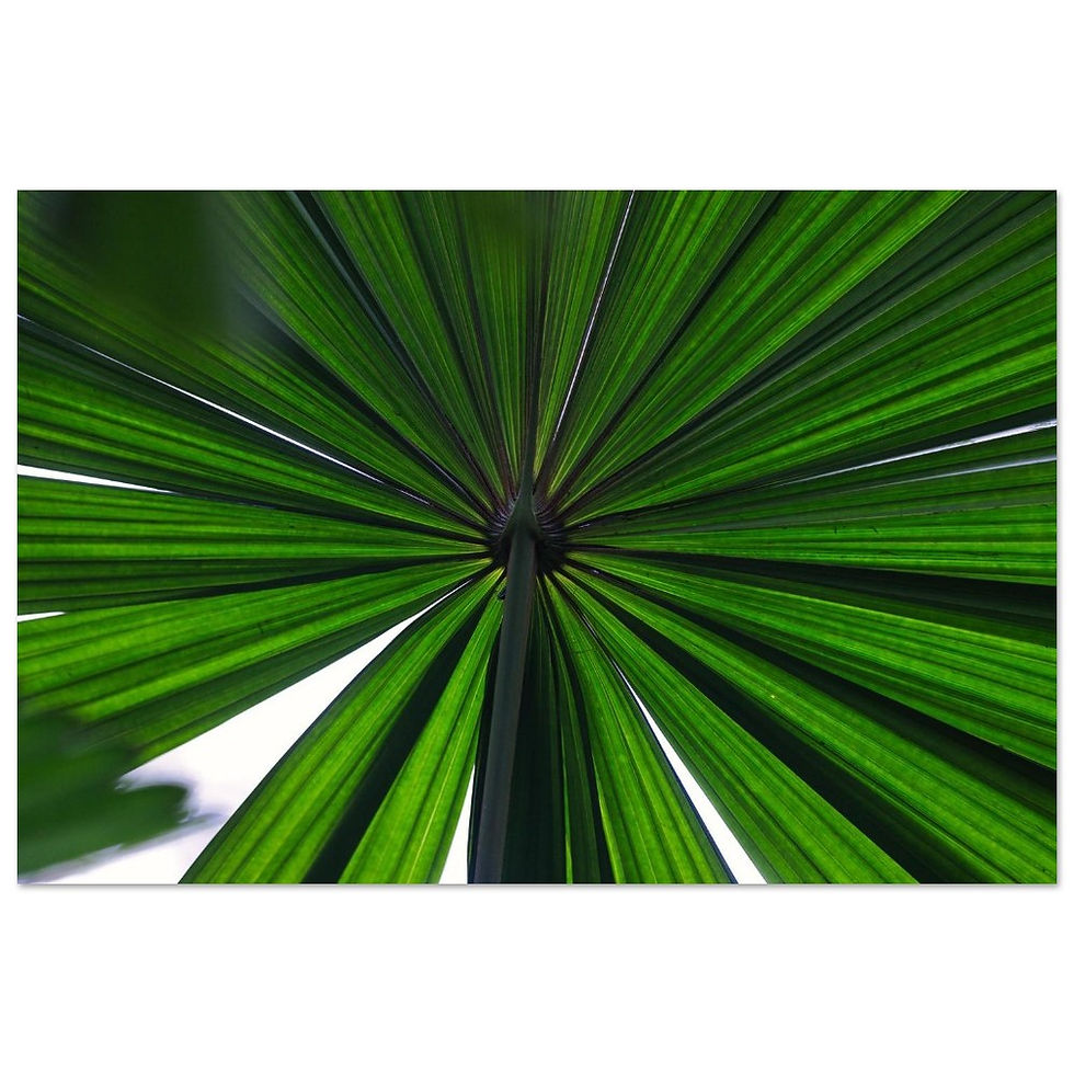 Unter dem Schleier - Fine Art Poster