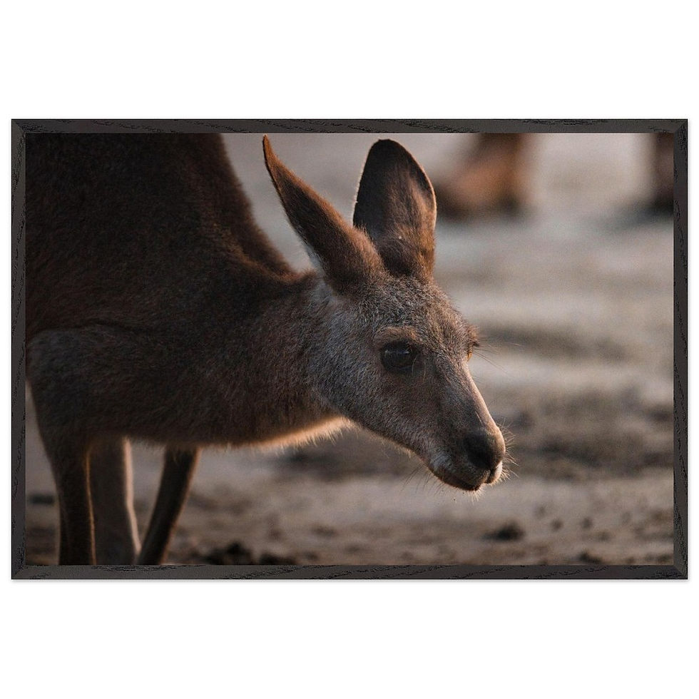 In Bewegung - Premium Holzrahmen Poster