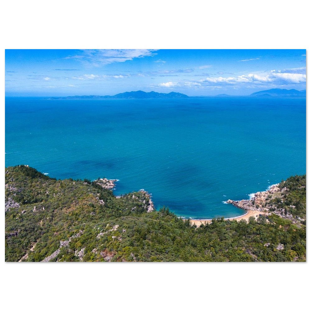 Zwischen Tag und Traum - Koala Queensland Australien | Fine Art Poster