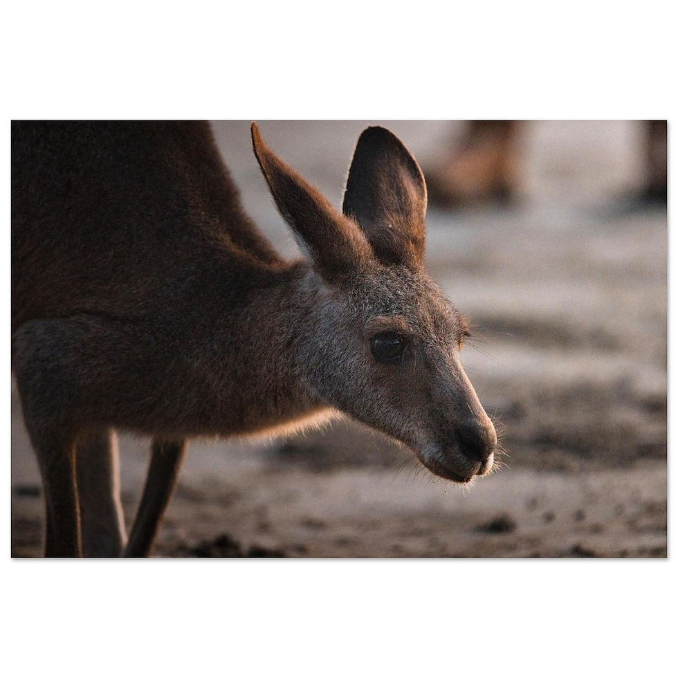 In Bewegung - Fine Art Poster