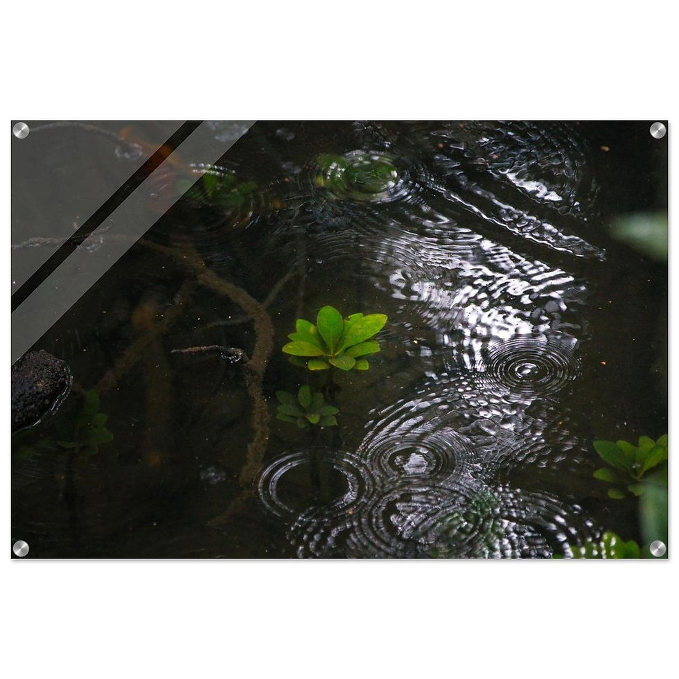 Regenlied - Premium Acryl Print