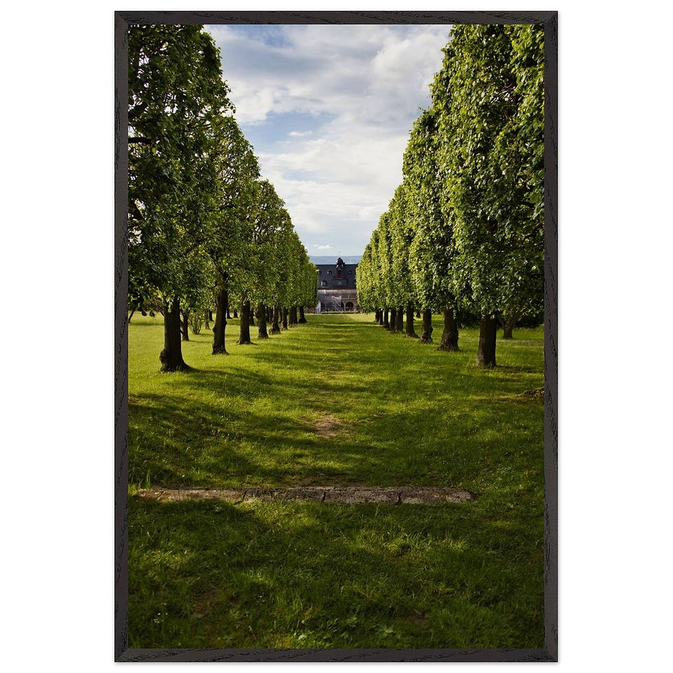 Schlosspark - Premium Holzrahmen Poster