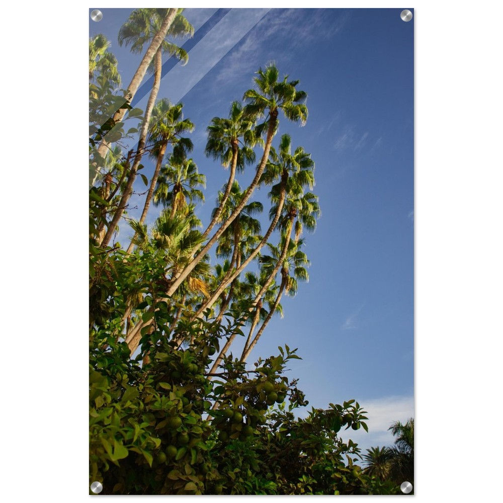 Spanish Paradise - Palmenlandschaft Spanien | Premium Acryl Print