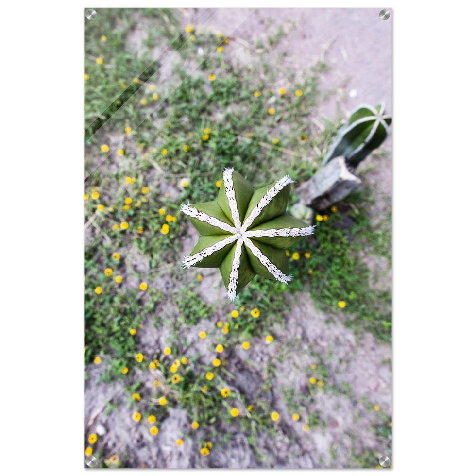 Resilienz - Premium Acryl Print