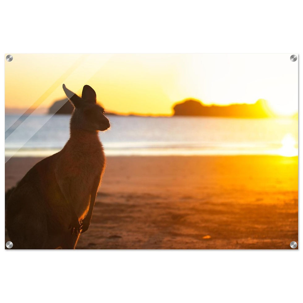 Cape Hillsborough - Premium Acryl Print